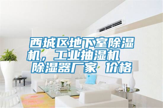 西城区地下室免费看操逼软件，工业抽湿机  除湿器厂家 价格