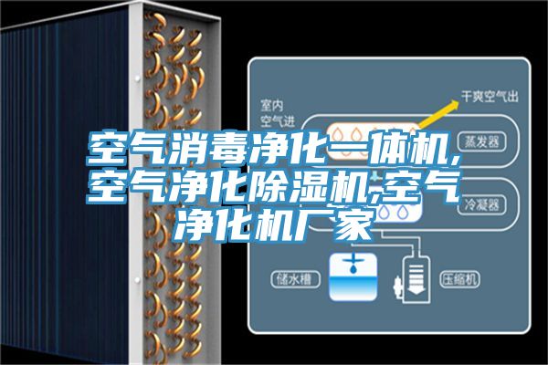 空气消毒净化一体机,空气净化免费看操逼软件,空气净化机厂家