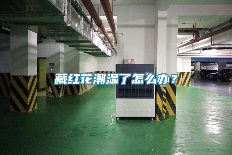 藏红花潮湿了怎么办？