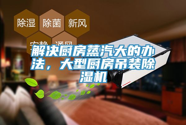 解决厨房蒸汽大的办法，大型厨房吊装免费看操逼软件
