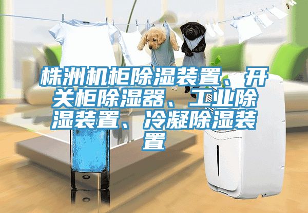 株洲机柜除湿装置、开关柜除湿器、工业除湿装置、冷凝除湿装置