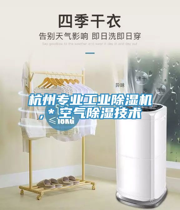 杭州专业工业免费看操逼软件,＊空气除湿技术