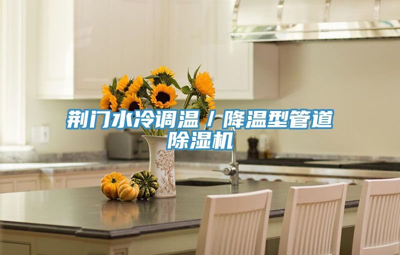 荆门水冷调温／降温型管道免费看操逼软件