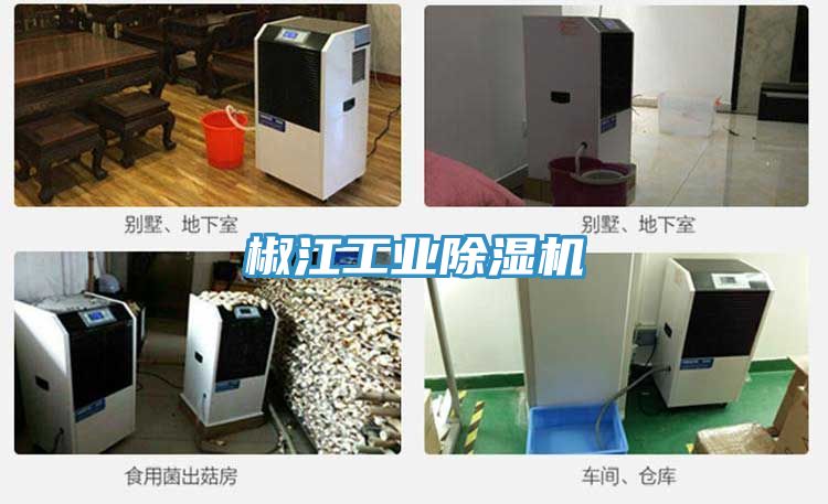 椒江工业免费看操逼软件