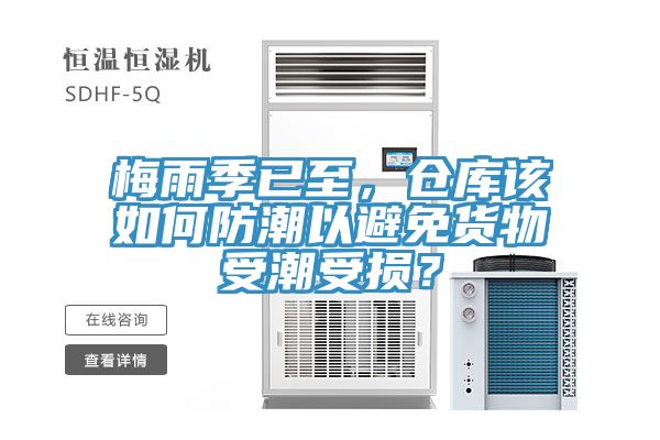 梅雨季已至，仓库该如何防潮以避免货物受潮受损？