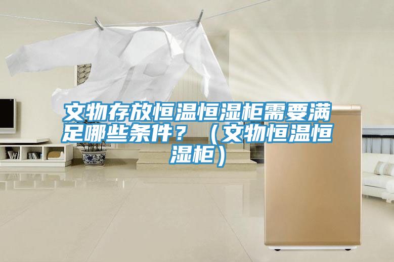文物存放恒温恒湿柜需要满足哪些条件？（文物恒温恒湿柜）
