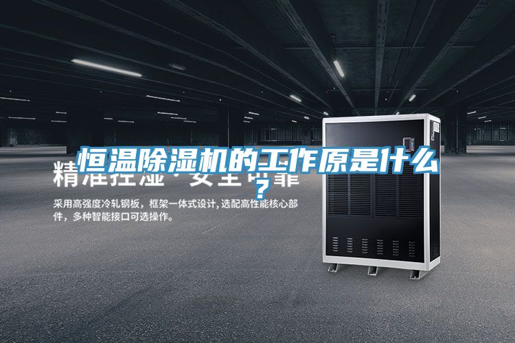 恒温免费看操逼软件的工作原是什么？