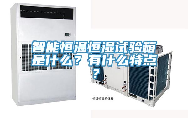 智能恒温恒湿试验箱是什么？有什么特点？