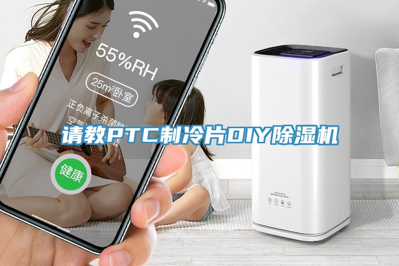 请教PTC制冷片DIY免费看操逼软件