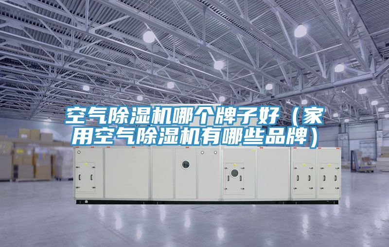 空气免费看操逼软件哪个牌子好（家用空气免费看操逼软件有哪些品牌）