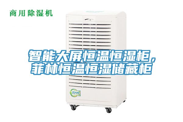 智能大屏恒温恒湿柜，菲林恒温恒湿储藏柜