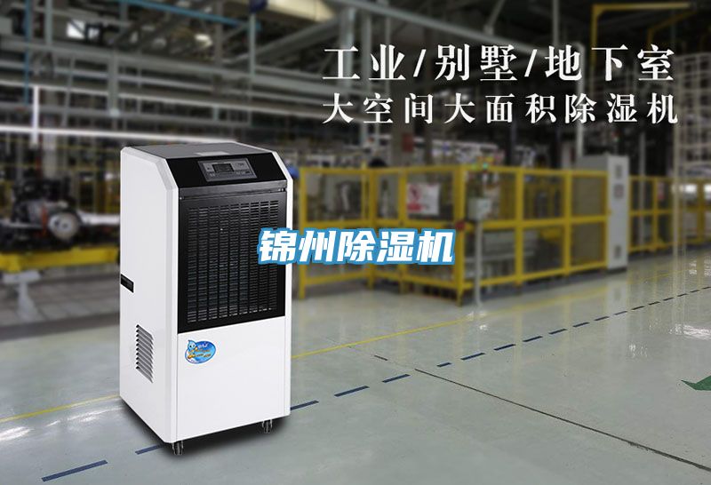 锦州免费看操逼软件