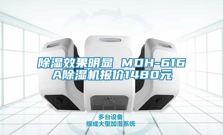 除湿效果明显 MDH-616A免费看操逼软件报价1480元