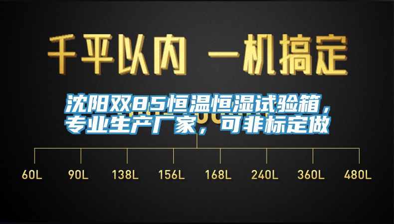 沈阳双85恒温恒湿试验箱，专业生产厂家，可非标定做