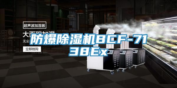 防爆免费看操逼软件BCF-7138Ex
