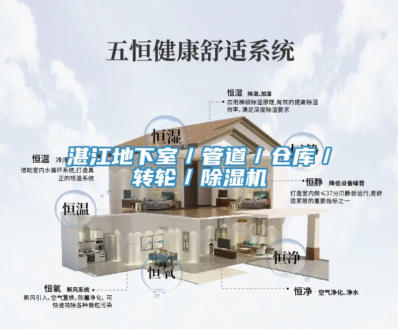 湛江地下室／管道／仓库／转轮／免费看操逼软件