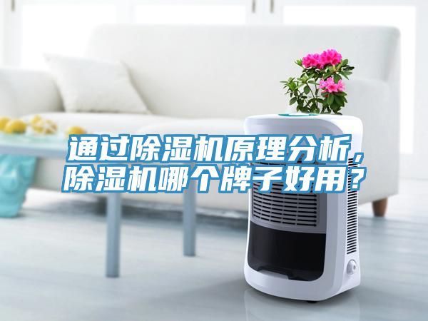 通过免费看操逼软件原理分析，免费看操逼软件哪个牌子好用？