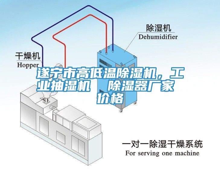 遂宁市高低温免费看操逼软件，工业抽湿机  除湿器厂家 价格