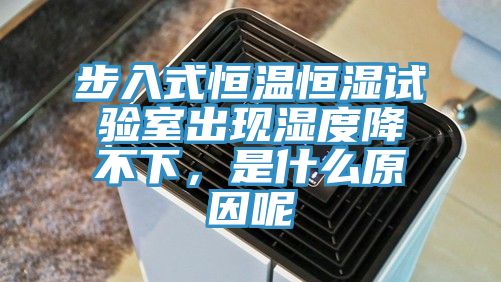 步入式恒温恒湿试验室出现湿度降不下，是什么原因呢