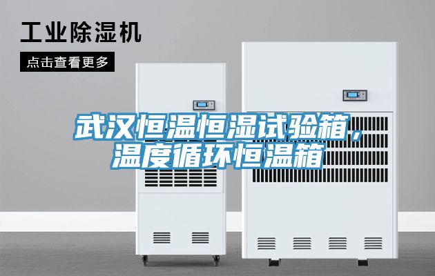 武汉恒温恒湿试验箱，温度循环恒温箱