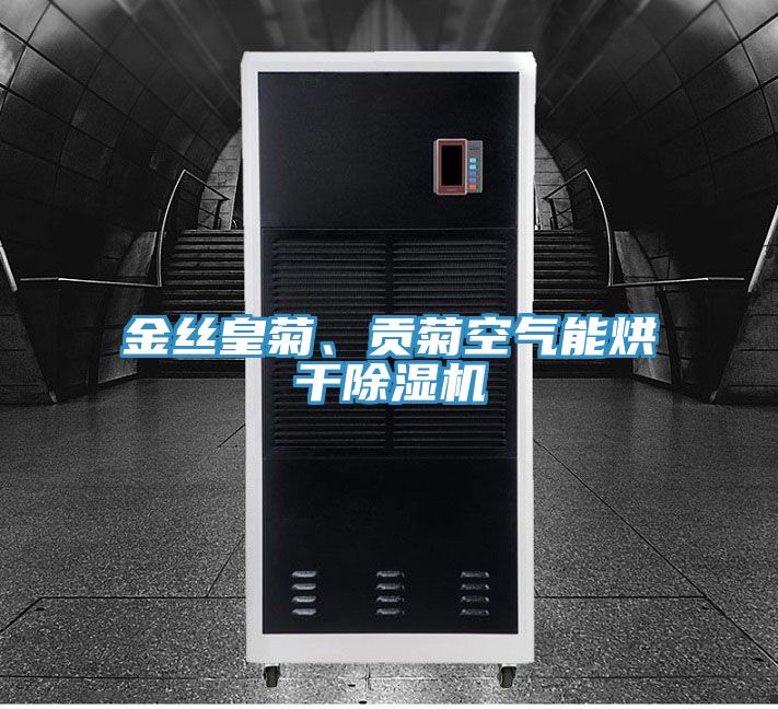 金丝皇菊、贡菊空气能烘干免费看操逼软件