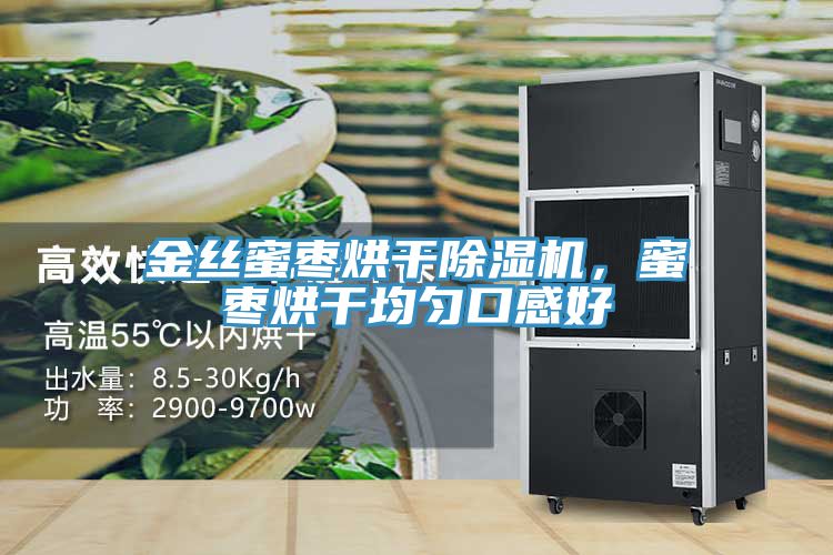 金丝蜜枣烘干免费看操逼软件，蜜枣烘干均匀口感好