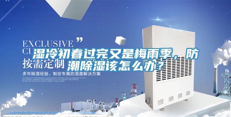湿冷初春过完又是梅雨季，防潮除湿该怎么办？