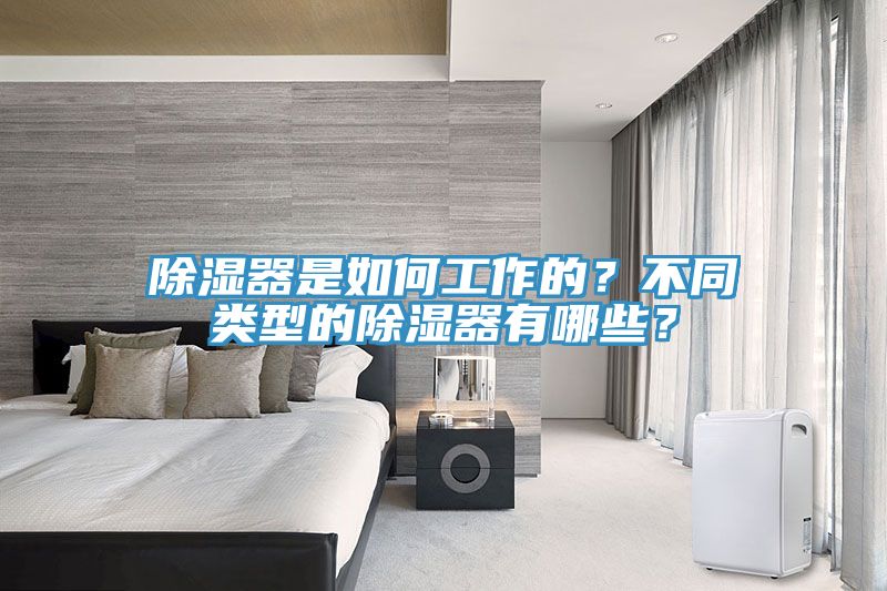 除湿器是如何工作的？不同类型的除湿器有哪些？