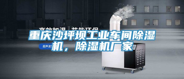 重庆沙坪坝工业车间免费看操逼软件，免费看操逼软件厂家