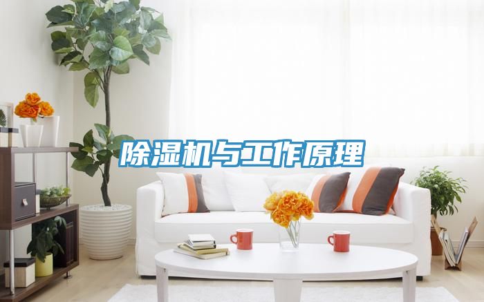 免费看操逼软件与工作原理