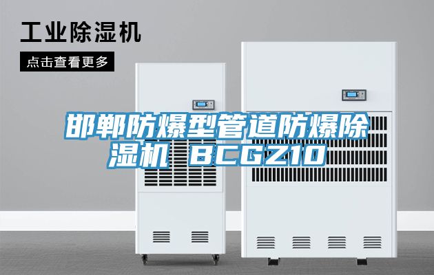 邯郸防爆型管道防爆免费看操逼软件 BCGZ10