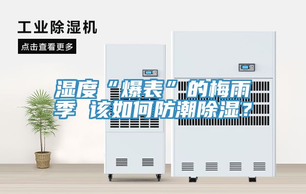 湿度“爆表”的梅雨季 该如何防潮除湿？