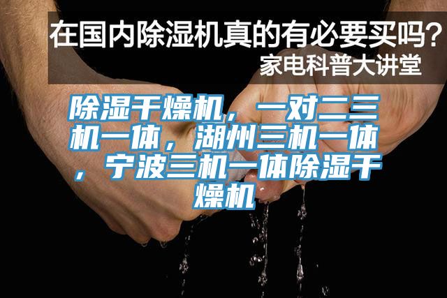 除湿干燥机，一对二三机一体，湖州三机一体，宁波三机一体除湿干燥机