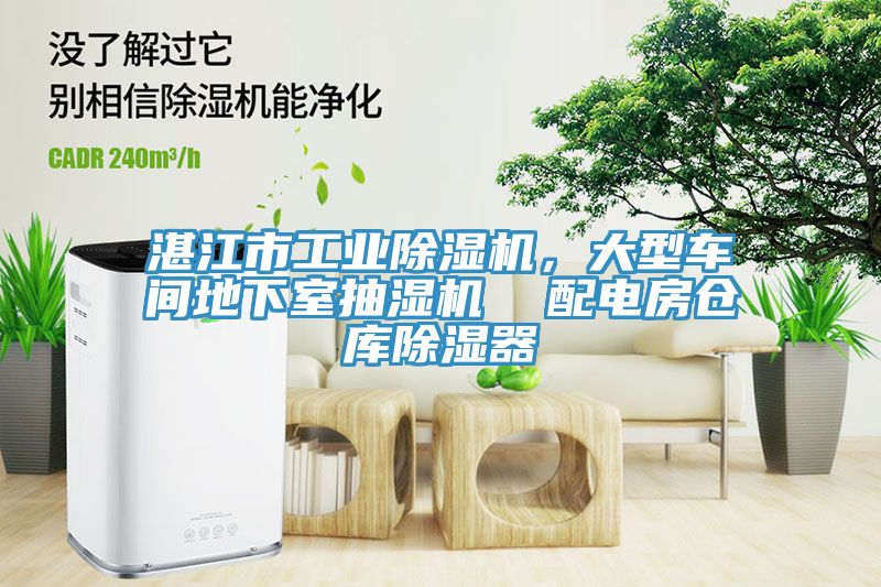 湛江市工业免费看操逼软件，大型车间地下室抽湿机  配电房仓库除湿器