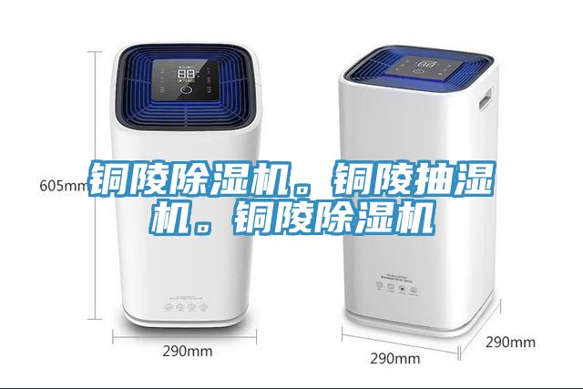 铜陵免费看操逼软件。铜陵抽湿机。铜陵免费看操逼软件