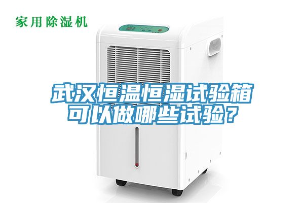 武汉恒温恒湿试验箱可以做哪些试验？