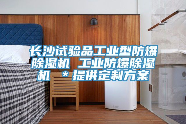 长沙试验品工业型防爆免费看操逼软件 工业防爆免费看操逼软件 ＊提供定制方案