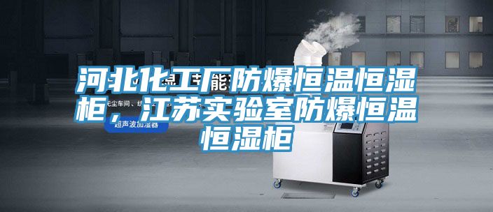 河北化工厂防爆恒温恒湿柜，江苏实验室防爆恒温恒湿柜