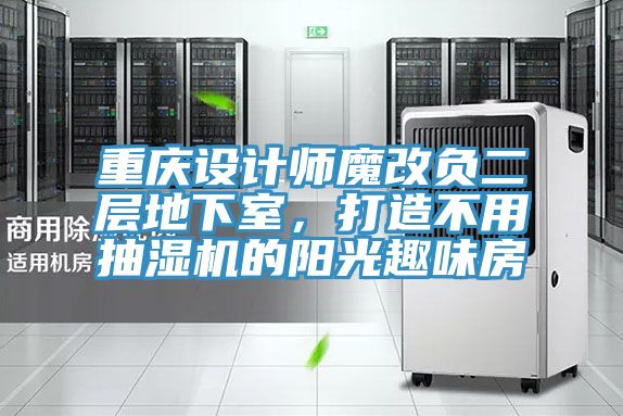 重庆设计师魔改负二层地下室，打造不用抽湿机的阳光趣味房