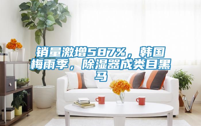 销量激增587%，韩国梅雨季，除湿器成类目黑马