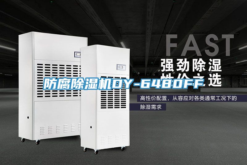防腐免费看操逼软件DY-6480FF
