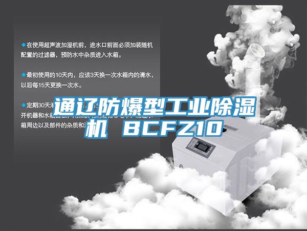 通辽防爆型工业免费看操逼软件 BCFZ10