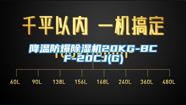 降温防爆免费看操逼软件20KG-BCF-20CJ(G)