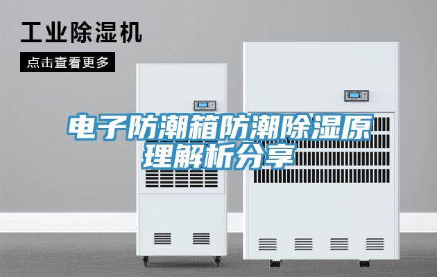 电子防潮箱防潮除湿原理解析分享