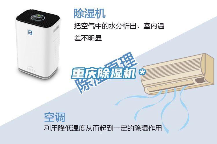 重庆免费看操逼软件＊
