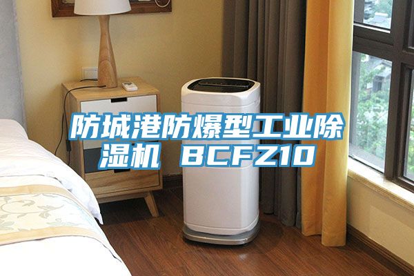 防城港防爆型工业免费看操逼软件 BCFZ10