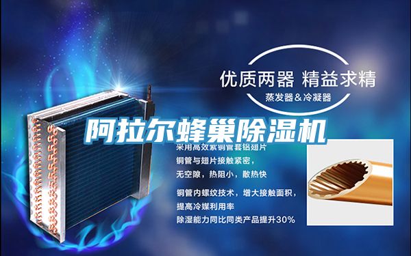 阿拉尔蜂巢免费看操逼软件