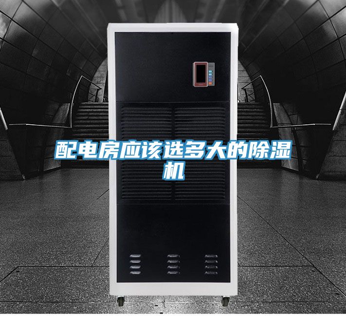 配电房应该选多大的免费看操逼软件