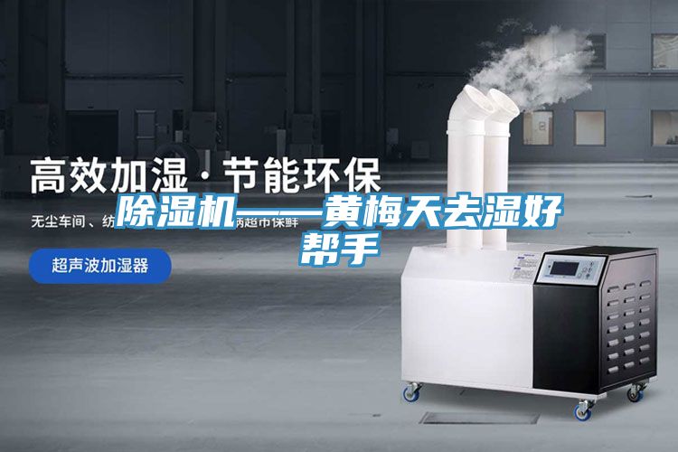 免费看操逼软件——黄梅天去湿好帮手
