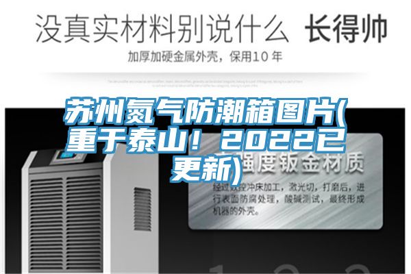 苏州氮气防潮箱图片(重于泰山！2022已更新)